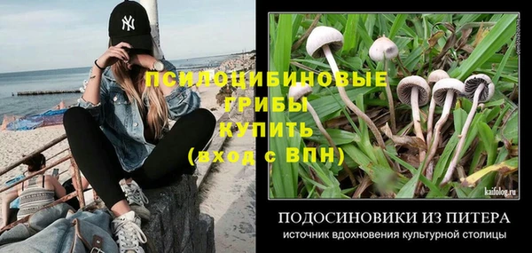 хмурый Армянск