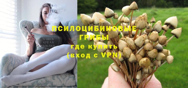 мет Аркадак